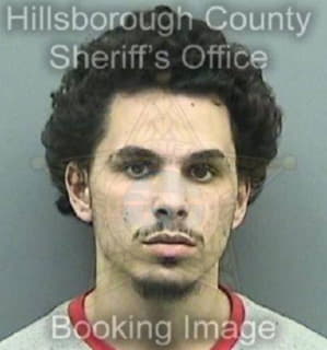 Crespo Enrique - Hillsborough County, Florida 