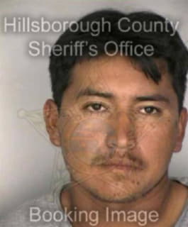 Cruzhernandez Luciano - Hillsborough County, Florida 