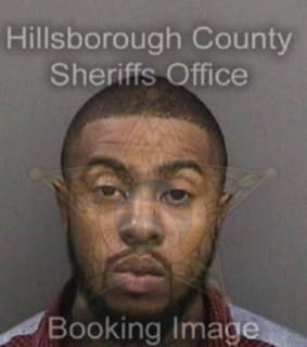 Flewellen Rodney - Hillsborough County, Florida 