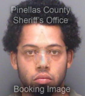 Hines Darryl - Pinellas County, Florida 