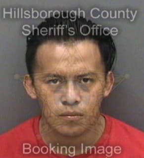 Mateobartolome Donald - Hillsborough County, Florida 