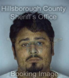 Ruiz Juan - Hillsborough County, Florida 