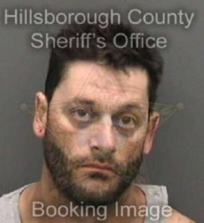 Rivera Luis - Hillsborough County, Florida 