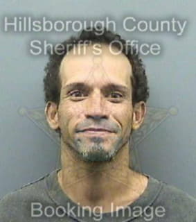 Rodriguez Raul - Hillsborough County, Florida 