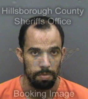 Santiago David - Hillsborough County, Florida 