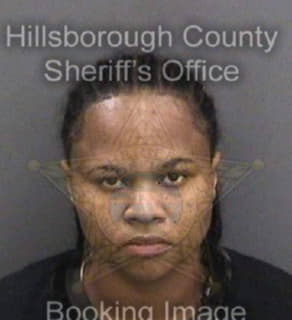 Mcgee Glenda - Hillsborough County, Florida 