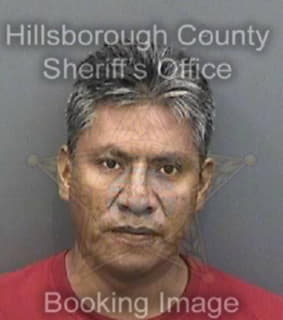 Pineda Javier - Hillsborough County, Florida 