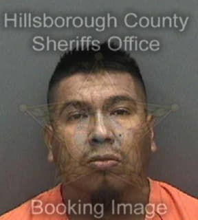 Linares Javier - Hillsborough County, Florida 