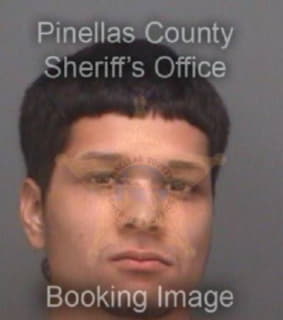 Henriquez Johny - Pinellas County, Florida 