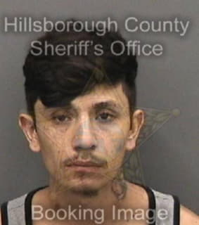 Rodriguezreynaga Jose - Hillsborough County, Florida 