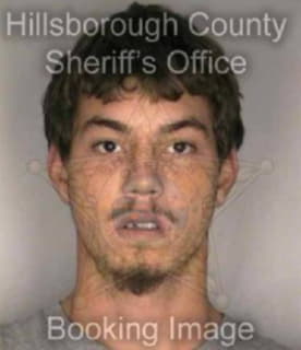 Bradshaw Michael - Hillsborough County, Florida 