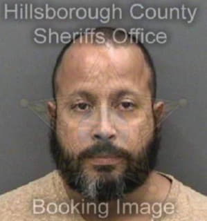 Rivera David - Hillsborough County, Florida 