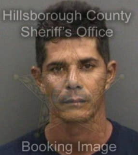 Oliverogomez Gerlin - Hillsborough County, Florida 