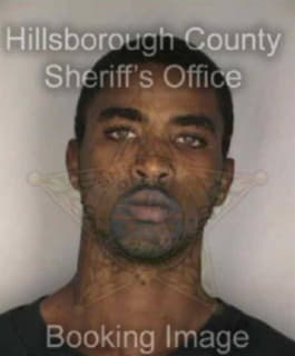 Perry Ron - Hillsborough County, Florida 