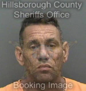 Perezparra Amaury - Hillsborough County, Florida 