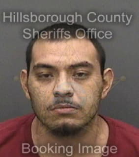 Deleon Daniel - Hillsborough County, Florida 