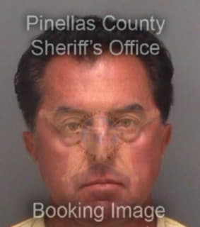 Mayers Matthew - Pinellas County, Florida 