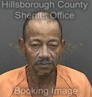 Vasquez Ramon - Hillsborough County, Florida 