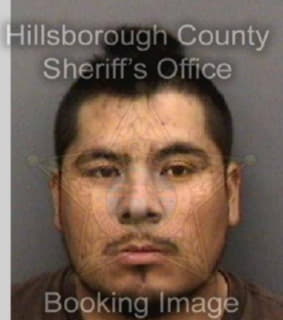 Diazgarcia Crescenciano - Hillsborough County, Florida 