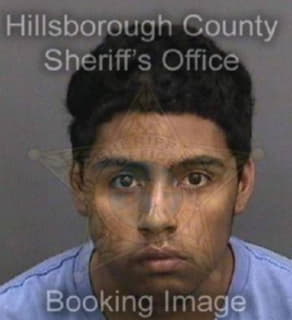 Rivera Felix - Hillsborough County, Florida 