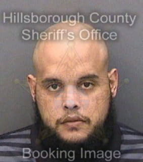 Rivera Michael - Hillsborough County, Florida 