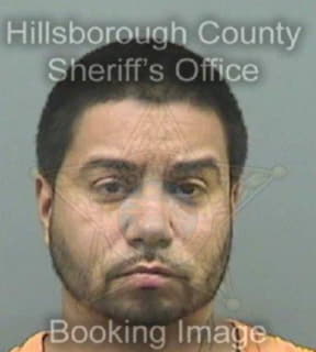 Ortiz Michael - Hillsborough County, Florida 