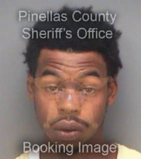 Bryant Reginald - Pinellas County, Florida 