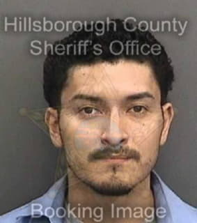 Velazquez Jose - Hillsborough County, Florida 