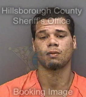 Diaz Moses - Hillsborough County, Florida 