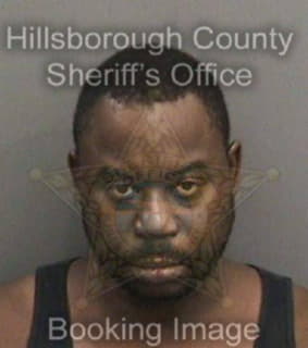 Mathis Amoundo - Hillsborough County, Florida 