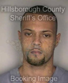 Diaz Elias - Hillsborough County, Florida 