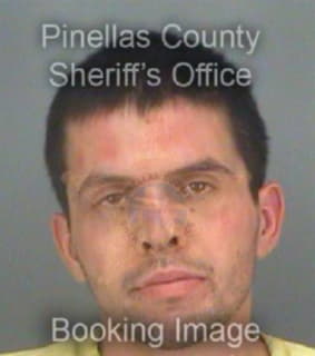 Sumpter Jeremy - Pinellas County, Florida 