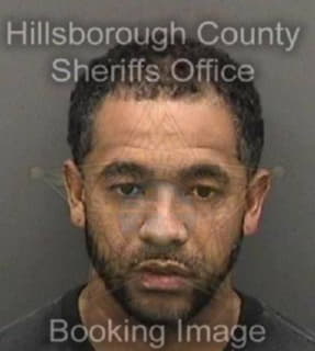 Chapman Wallace - Hillsborough County, Florida 