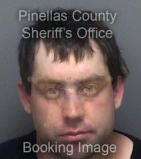 Mcdowell Christopher - Pinellas County, Florida 