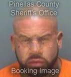 Montalvo Rodney - Pinellas County, Florida 