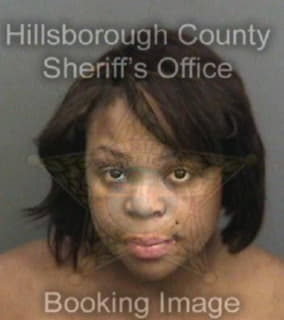 Mitchell Carol - Hillsborough County, Florida 