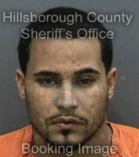 Mitchell Davion - Hillsborough County, Florida 