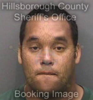 Luman Dwight - Hillsborough County, Florida 