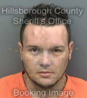 Milligan Laurence - Hillsborough County, Florida 