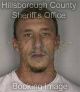 Dennis Mark - Hillsborough County, Florida 