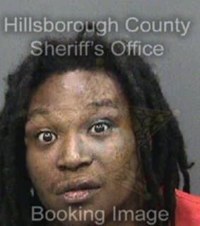 Coleman Robert - Hillsborough County, Florida 