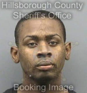 Lewis Alex - Hillsborough County, Florida 