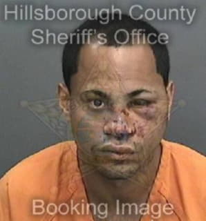 Rodriguez Samuel - Hillsborough County, Florida 