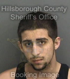 Pico Shakim - Hillsborough County, Florida 