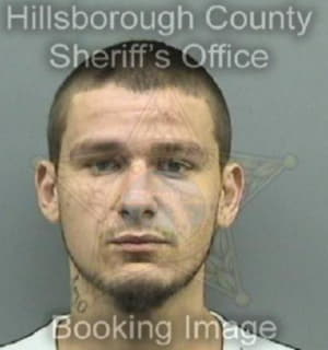 Mcabee Timothy - Hillsborough County, Florida 