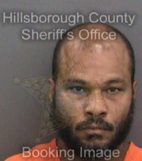 Diaz Enrique - Hillsborough County, Florida 