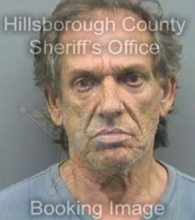 Perezgonzalez Miguel - Hillsborough County, Florida 