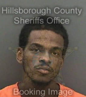 Lindsey Demetrick - Hillsborough County, Florida 