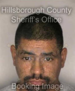 Diaz Jose - Hillsborough County, Florida 