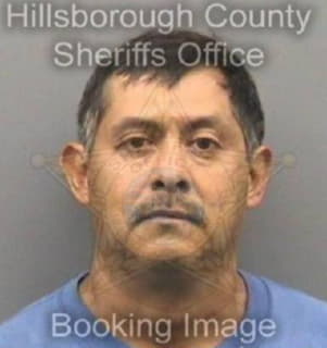 Martinez Juan - Hillsborough County, Florida 